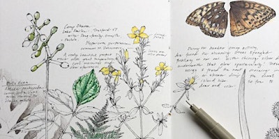 Keeping a Nature Journal with Carol Coogan