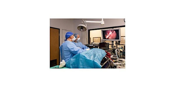 Small Animal Laparoscopy Course for Veterinarians & Veterinary Technicians