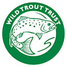 Wild Trout Trust, River Avill Project primary image