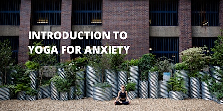 Immagine principale di Introduction to Yoga for Anxiety 