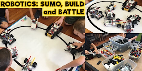 Robotics - Sumo Build and Battle - Tuesday 14th Jan primary image