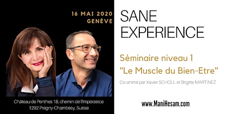 Image principale de Séminaire SANE Expérience niveau 1 à Genève, animé par Brigitte Martinez & Xavier Scholl 