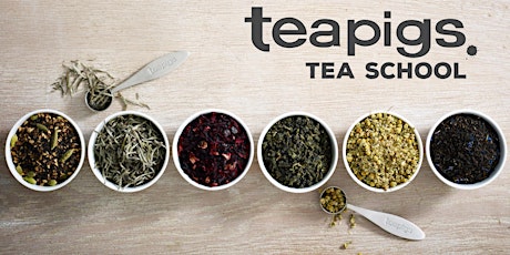 teapigs tea school | teapigs品茶班 primary image
