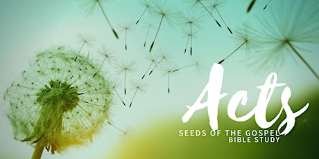 Acts Bible Study (Wednesdays) primary image