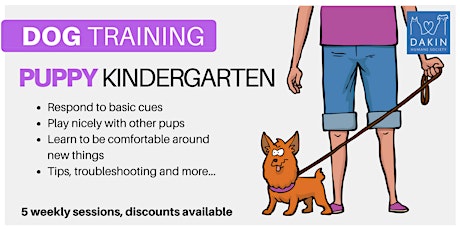 Puppy Kindergarten -Springfield  primary image