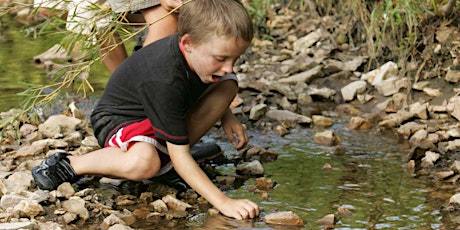 Nature Play with Niki  primary image