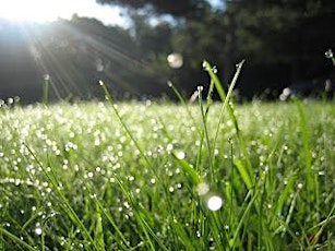 Dewdrop on the Grass: A Zen Retreat at Grailville primary image