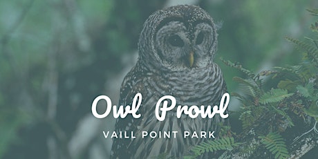 Owl Prowl ~ Vaill Point Park primary image