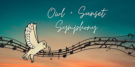 Owl + Sunset Symphony primary image