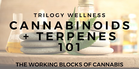 Cannabinoids + Terpenes 101 January Workshop