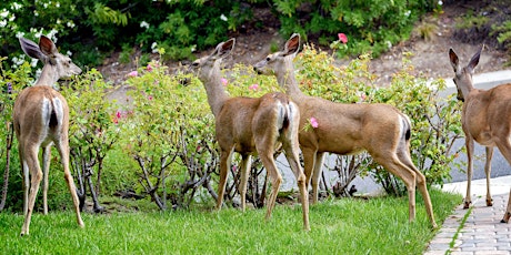 Central Utah Water Conservancy District Events Eventbrite