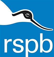 Organiser profile image
