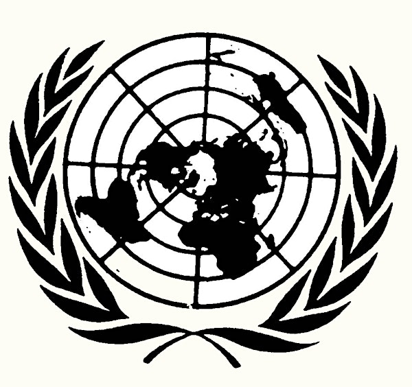 Serving the World: Working at the United Nations