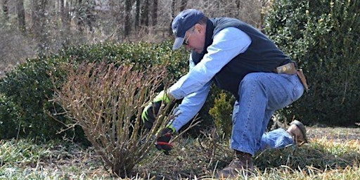 Aldie Va Lifestyle Events Eventbrite