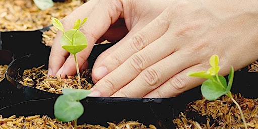 Boston Ma Home Lifestyle Class Events Eventbrite