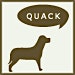 Organizer profile image