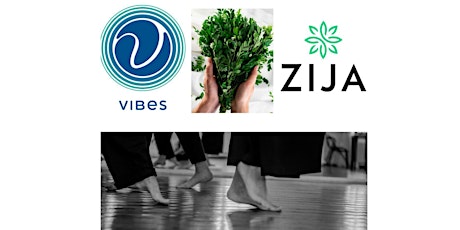 Hauptbild für Die Gesundheitsrevolution 2020: NIA & ZIJA @Vibes