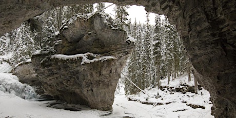 Johnston Canyon Field Trip, Jan. 18th primary image