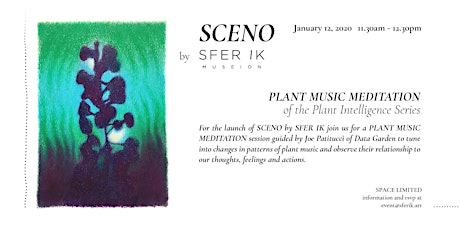 Imagen principal de PLANT MUSIC MEDITATION of the Plant Intelligence Series