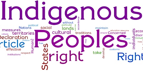 Indigenous Human Rights Training primary image