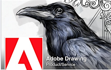 Adobe Illustrator: New Features & Adobe Drawing primary image