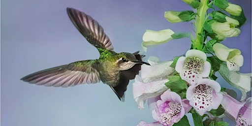 Speed dating over 50 in sierra vista arizona