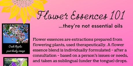 Flower Essences 101 primary image
