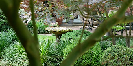 Dallas County Master Gardener Association Inc Events Eventbrite