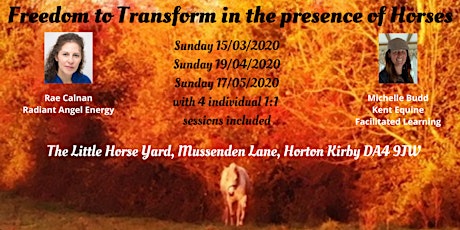 Freedom to Transform in the presence of Horses primary image