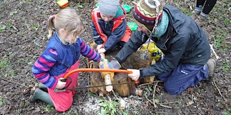 Earthwise: Half-term Forest Fun primary image