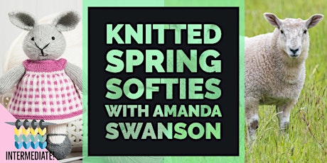 Knitted Spring Softies with Amanda Swanson primary image