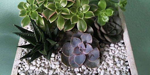 Seattle Usa Home Lifestyle Events Eventbrite