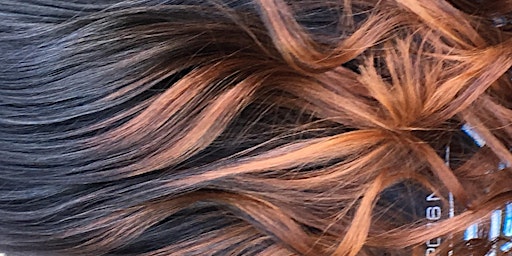 Atlanta Ga Hair Coloring Class Events Eventbrite