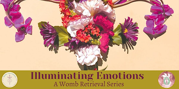 Illuminating Emotions - A Womb Retrieval Series