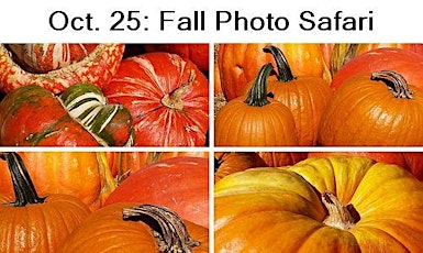 Oct. 25: Fall Photo Safari primary image
