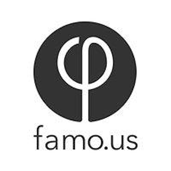 Famo-US meetup in Padova