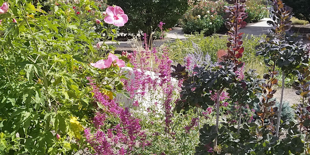 Water Conservation Series Online Class Tickets Thu May 14