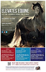 ELEVATES Equine Lifetime Soundness ~ Demos Clinics Private Horse Treatments primary image
