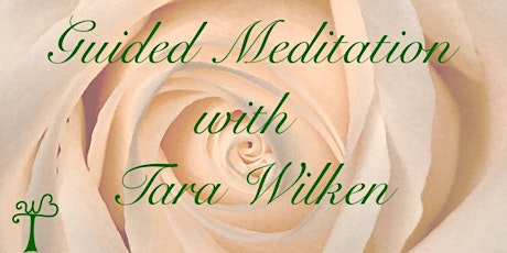 Monthly Guided Meditation with Tara Wilken primary image