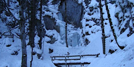 Hauptbild für Randonnée du mercredi soir : Les Petites Roches par le Saut de l'Eau