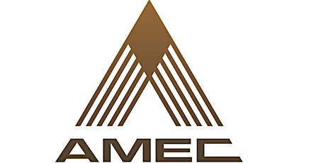 AMEC QLD Workshop - Understanding Company Director Responsibilities primary image