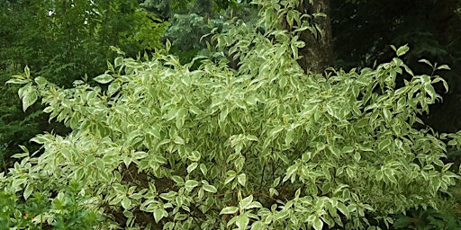 Golden Co Lifestyle Events Eventbrite