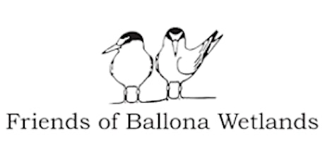 Beginner Birding & Creek Cleanup - Friends of Ballona Wetlands primary image