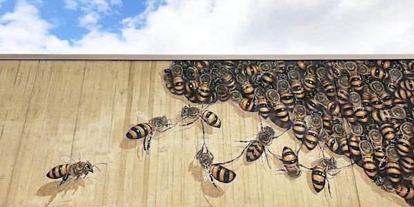 Swarm Albany - Action for Pollinators