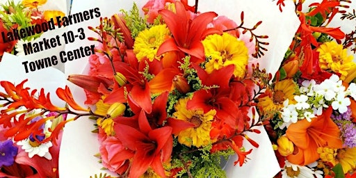 Olympia Wa Festivals Eventbrite