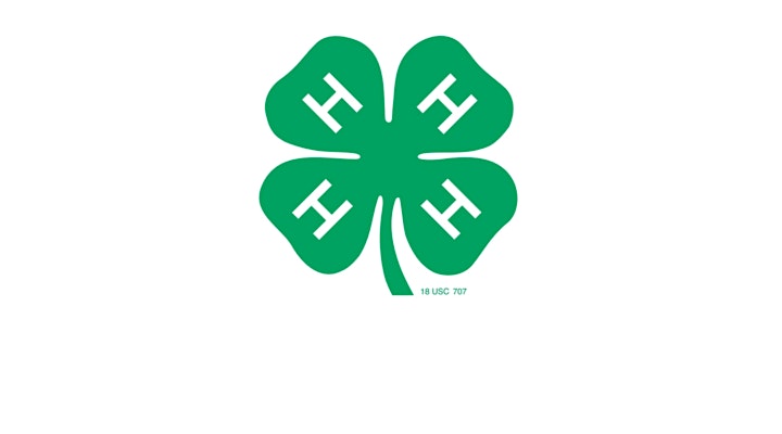 Spa & Relaxation 4-H Style! image