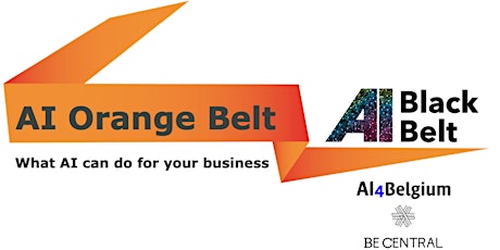 Primaire afbeelding van AI Orange Belt - Learn what AI can do for your Business