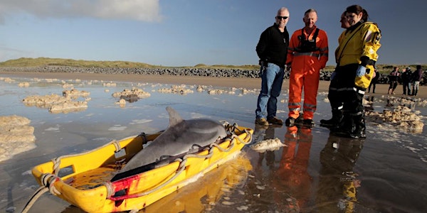 Live Stranding Course Galway