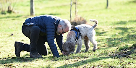 Truffles: Harvesting with Truffle Dog(s) primary image