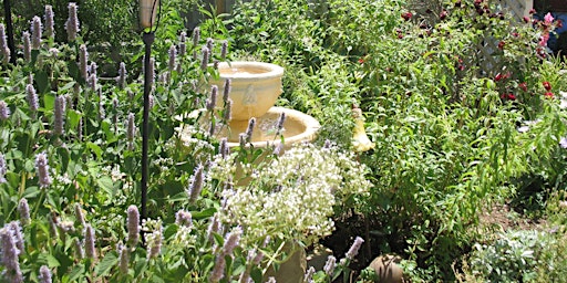 Sacramento Ca Herbs Classes Events Eventbrite